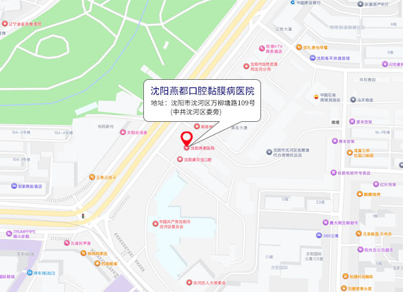 来院路线